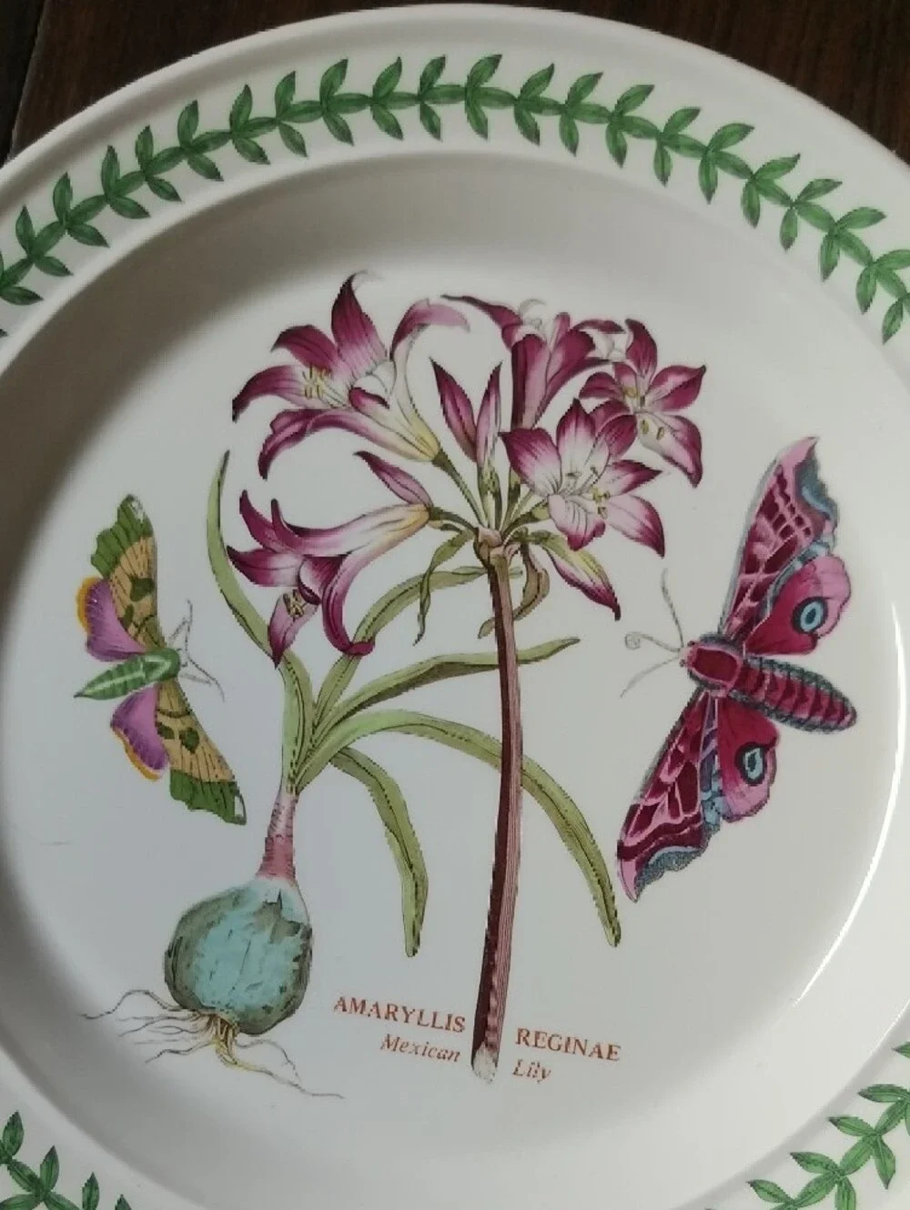 Portmeirion New Botanical Amaryllis & Butterfly Ceramic Dinner Plate